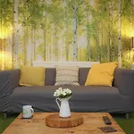I-Occupy Serviced Rooms